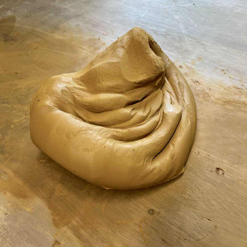 Prepared and kneaded 'wild' earthenware clay